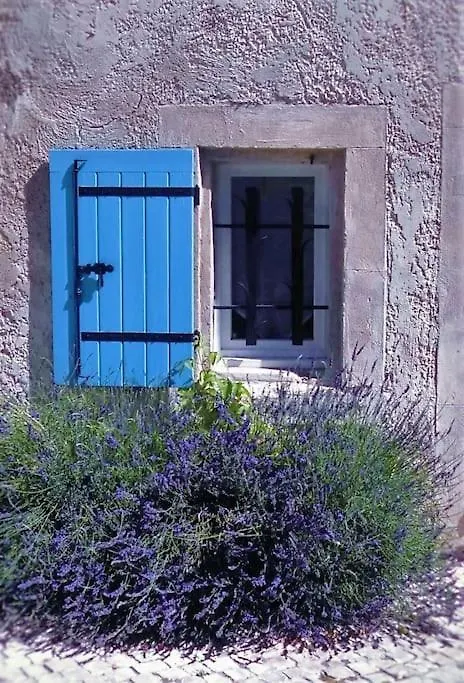 Maison Tout Confort, Climatisee, Dans Le Centre Historique Avec Parking Prive. Saint-Rémy-de-Provence 0*,